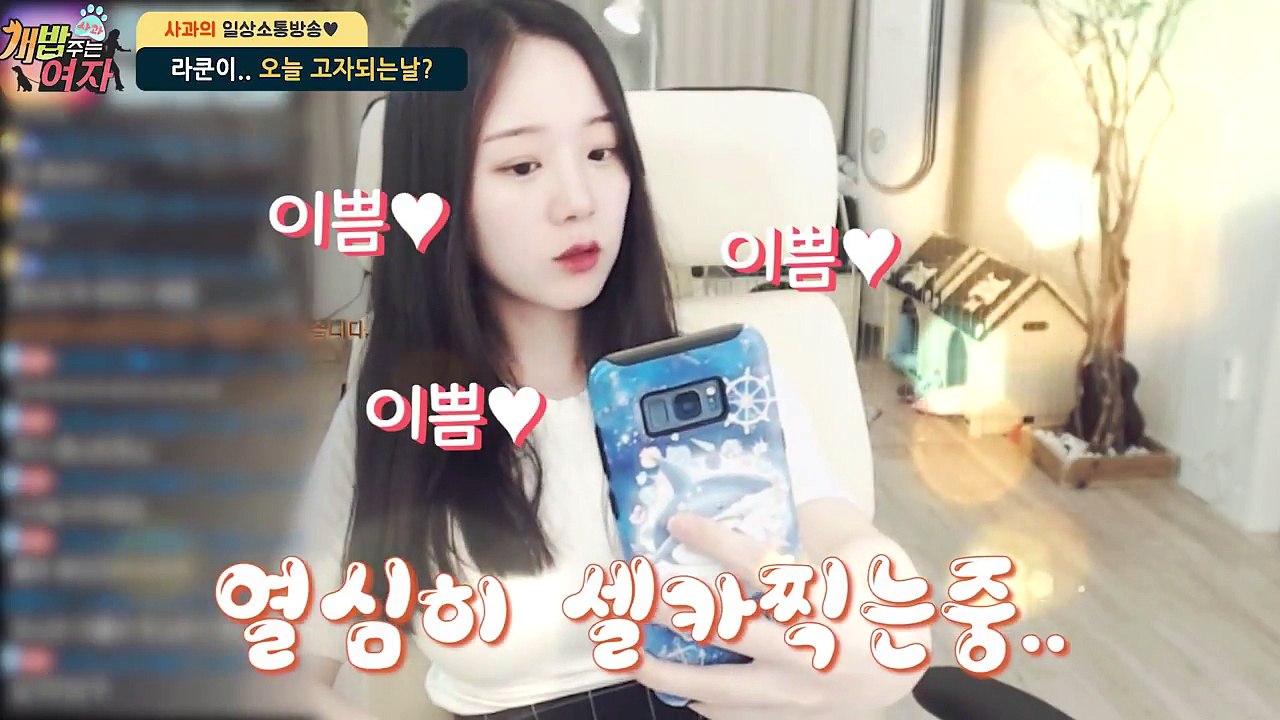 [바나나티비 사과] 강아지 고X잘라버리는 훈육방법..! (팝콘티비)