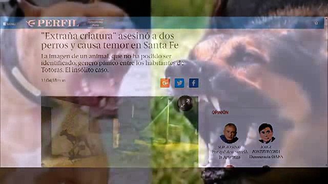 Είναι αυτό το θρυλικό Ελ Τσουπακάμπρα;Νέο βίντεο μυστήριο από τη Λατινική Αμερική!