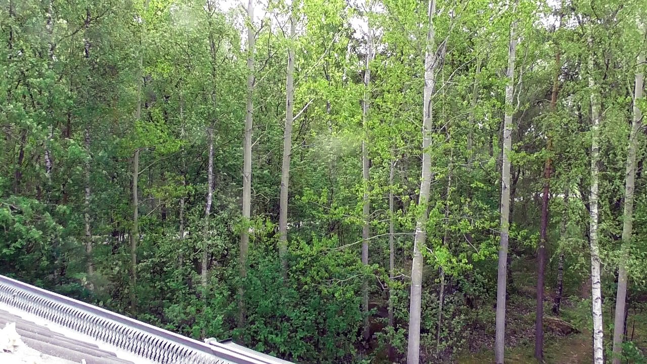 May 17 2018 DL1