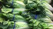 CDC: It's 'Unlikely' E. Coli Contaminated Lettuce is Still Available