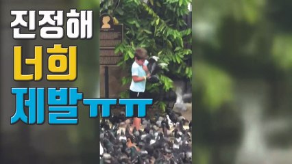 [자막뉴스] '비둘기 모이 주기' 이렇게 무서운 일이라니 / YTN