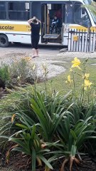 Loyal Dog Loves His Kid