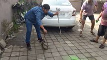 Indian Lady Snake catcher Catching Lethal Viper Snake From Car Porch....!!!