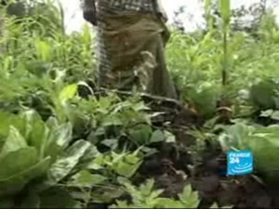 Les femmes, victimes des conflits-Reportage-Fr-France24