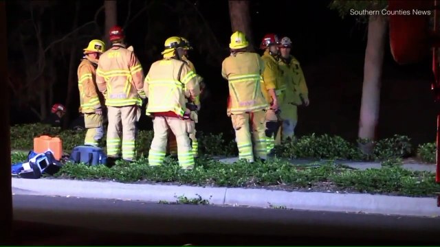 Suspected DUI Driver Crashes Into Family on Foot, Leaving Woman Dead, 3 Others Injured: Police