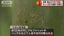 京都・嵐山の竹林にアルファベットやハングルの落書き　約100本が被害