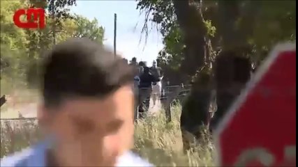 Sporting CP fans attack players, staff at training ground