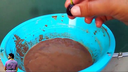 कमल को गमले में कैसे लगाए /How to Grow lotus in Pot -11th June 2017/Mammal Bonsai