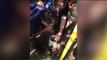 Firefighters Rescue Puppy From Drainage Pipe