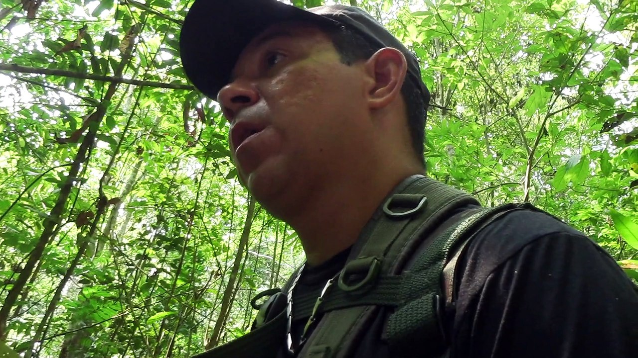 O solo pobre da selva