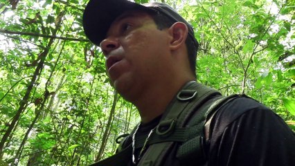 O solo pobre da selva