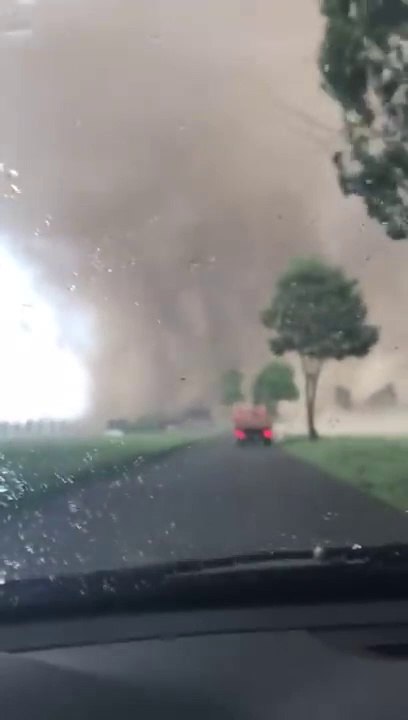 Regardez ce que ce conducteur va trouver face à lui en sortant du bois...  Dingue