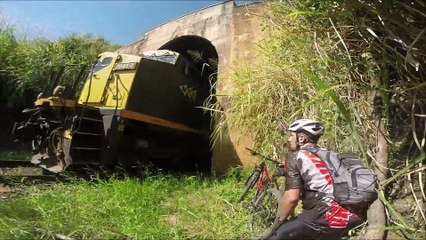 Cyclists Narrowly Avoid Oncoming Train
