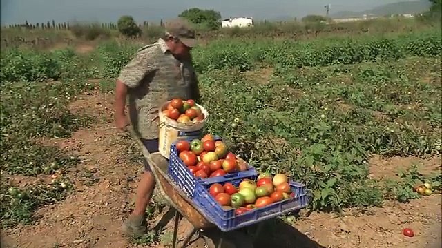 Discovering the Center of Ibiza (Balearic Islands)