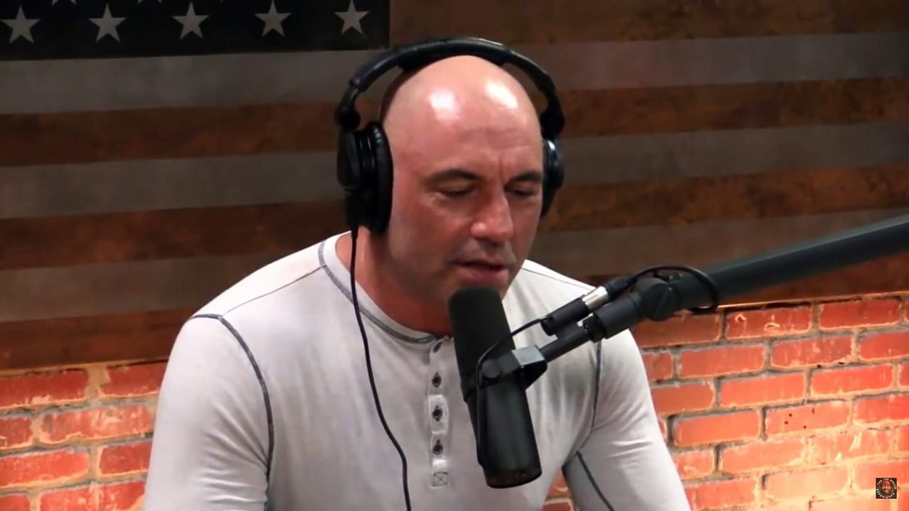 Steven Tyler on His Unique Singing Style - Joe Rogan Podcast