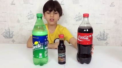 DICAS DE TROLLAGENS - Caduzinho Carvalho