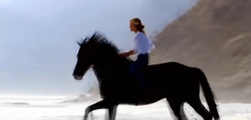 에이스경마 , 경마예상 , SUNMA.ME 검빛닷컴