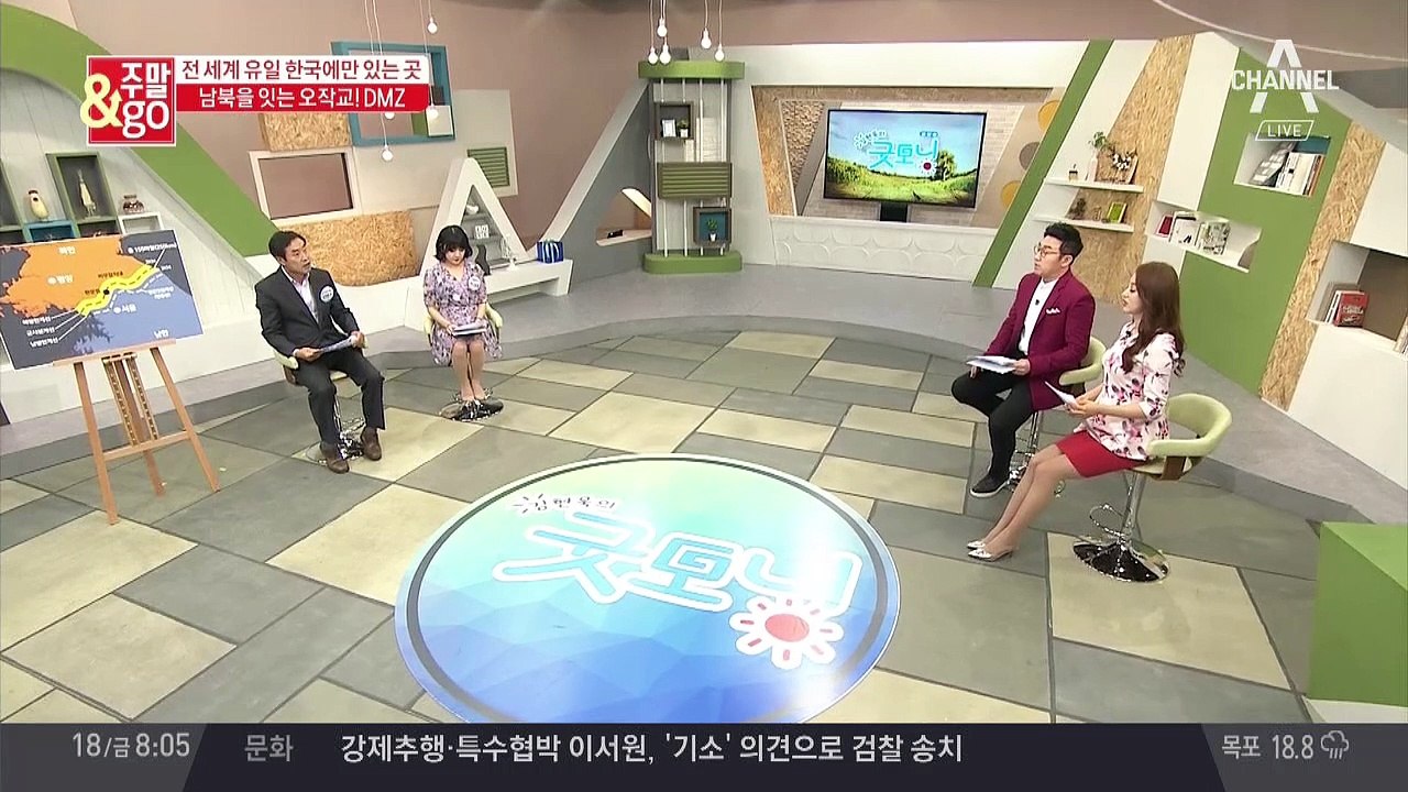 전 세계 유일 한국에만 있는 여행지, 남북의 오작교 DMZ