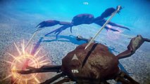 Crab Fighting Simulator Gameplay