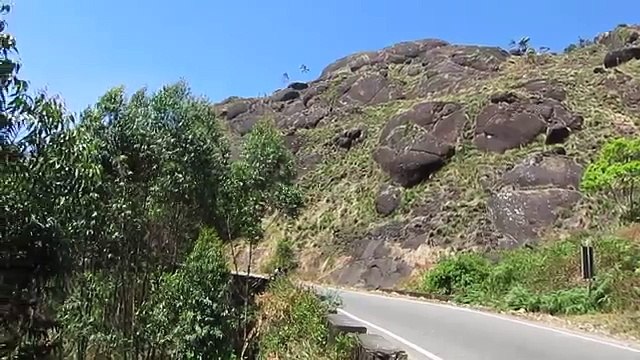 Munnar the most beautiful place in india | amazing munnar | Kerala tourism