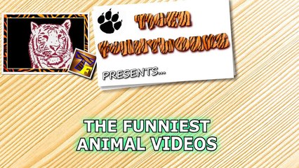 Warning: SO FUNNY it may cause HEART ATTACK! - Super FUNNY ANIMAL videos