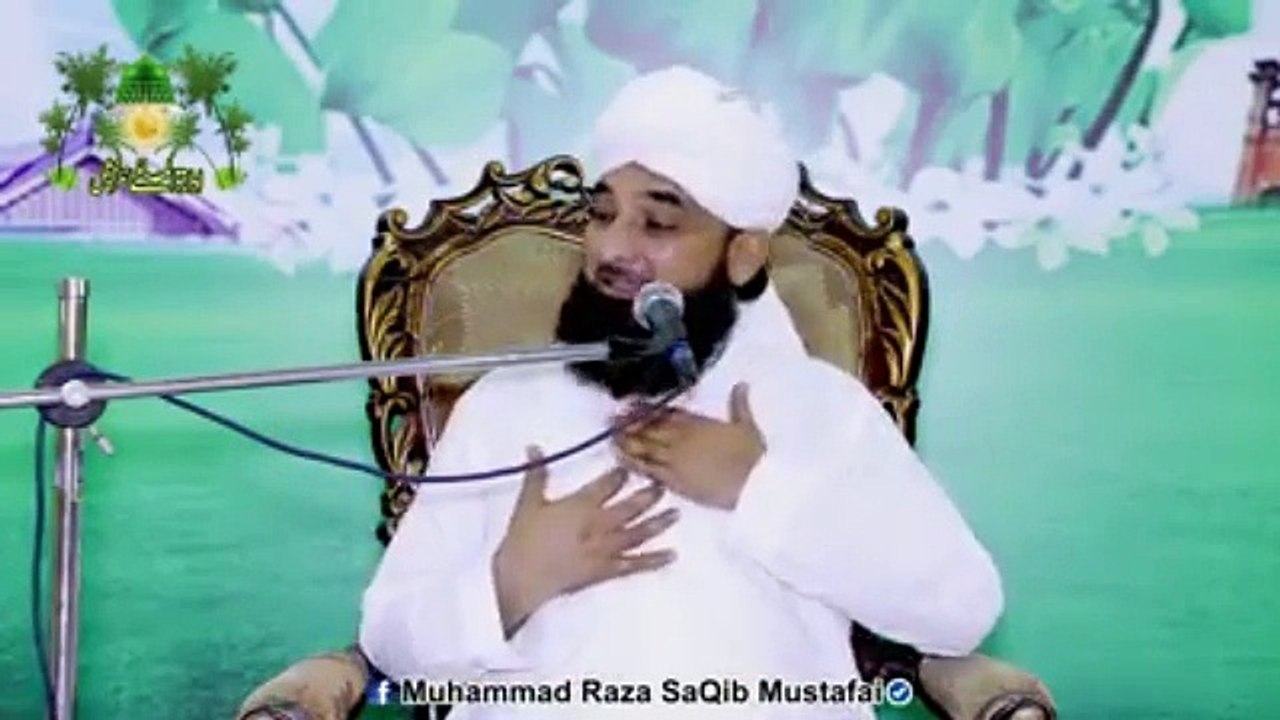 Muhammad Raza Saqib Mustafai (410)