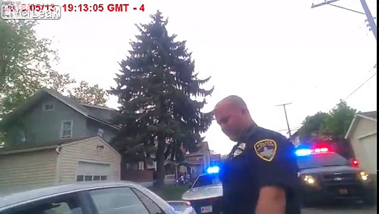 Police K9 Takes Down Driver After Refusing To Get Out Of Car