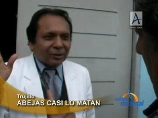 ABEJAS CASI LO MATAN  - TRUJILLO