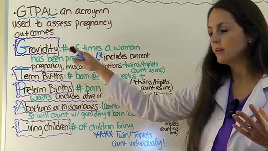 GTPAL Nursing Explanation Made Easy w/ Examples & Price
