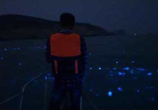 Taiwanese Captures Stunning Ocean Light Show in the Matsu Islands