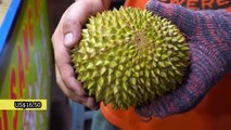 WHOLE Roast Lamb, INSANE Durian: Street Food Tour of Kuala Lumpur, Malaysia