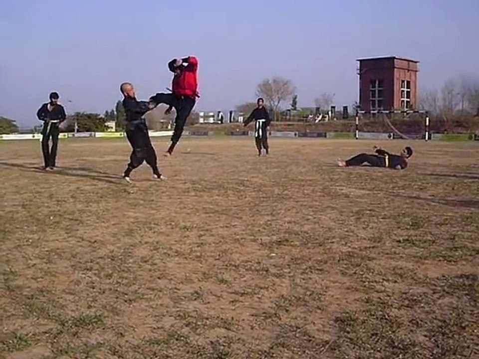 Ninja Judo Techniques