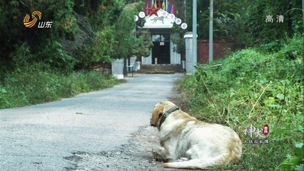 Quân Khuyển Kỳ Binh Tập 30 - Phim Cảnh Sát Đặc Nhiệm Hay