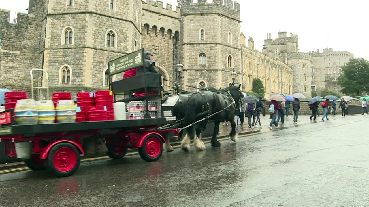 Spezial-Bier für Prinz Harrys Hochzeit