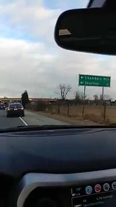 Guy's Reaction to an Overturned Truck Full of Chickens