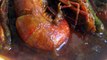 চিংড়ী মালাইকারি রেসিপি ||Chingri Macher Malaikari |Prawn Malaikari Recipe | Shrimp Malaikari