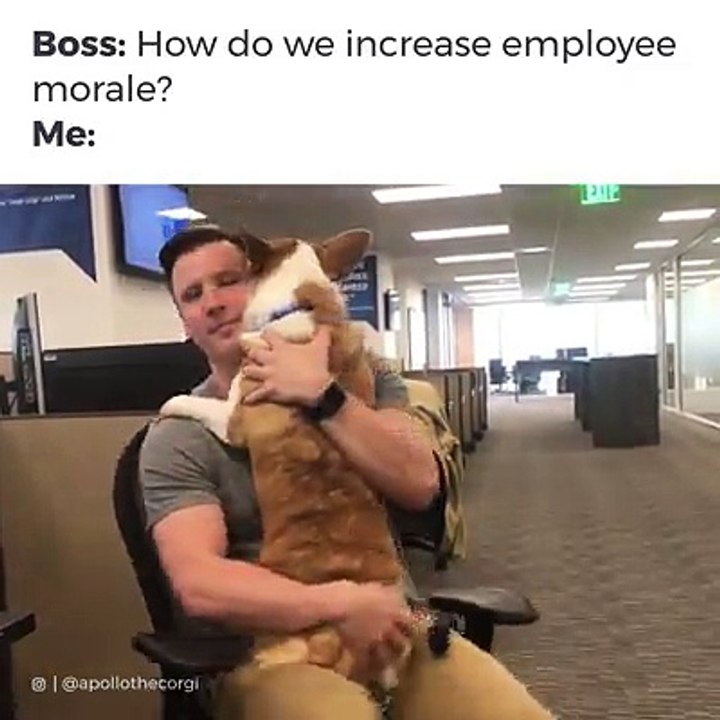 How do we increase employee morale