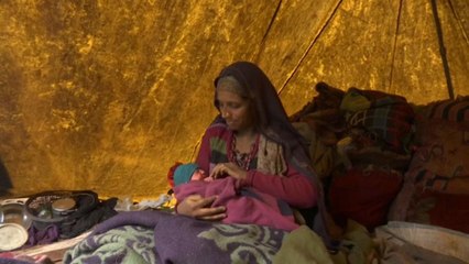 القبائل المسلمة في كشمير... بين سندان الترحال ومطرقة والتعصب الديني