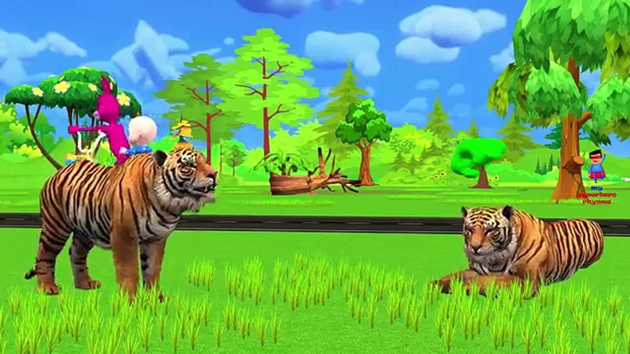 Funny Bunny Go To Forest Learn Colors Brush Your Teeth Daily