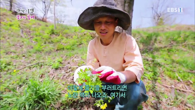 한국기행 - Korea travel_꽃보다 할매 5부 풀처럼 꽃처럼 살고파_#002