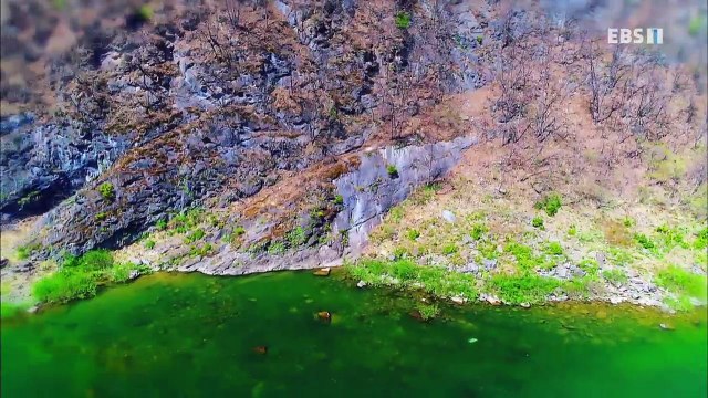 한국기행 - Korea travel_꽃보다 할매 5부 풀처럼 꽃처럼 살고파_#001