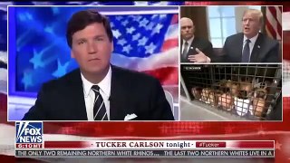 Tucker Carlson Tonight 5/17/18 - Tucker Carlson Tonight Fox News Today, May 17, 2018