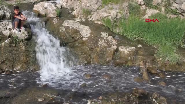 Van'da İnci Kefali Göçü-Hd