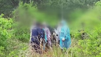 모집 산행 후 산나물 불법 채취 일당 적발 / YTN