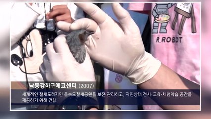 [부산] 낙동강 하류 철새도래지 영상물 공개 / YTN