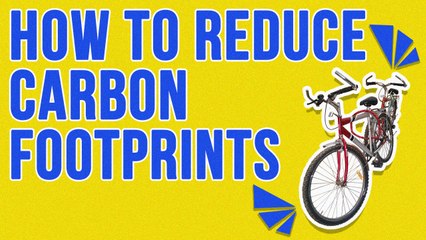 How To Reduce Your Carbon Footprint