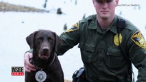 Policial tenta fazer foto oficial com seu cachorro, mas tudo o que o cão quer é demonstrar seu amor!