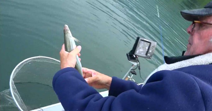 Destination montagnes : pêche sur le lac d'Annecy