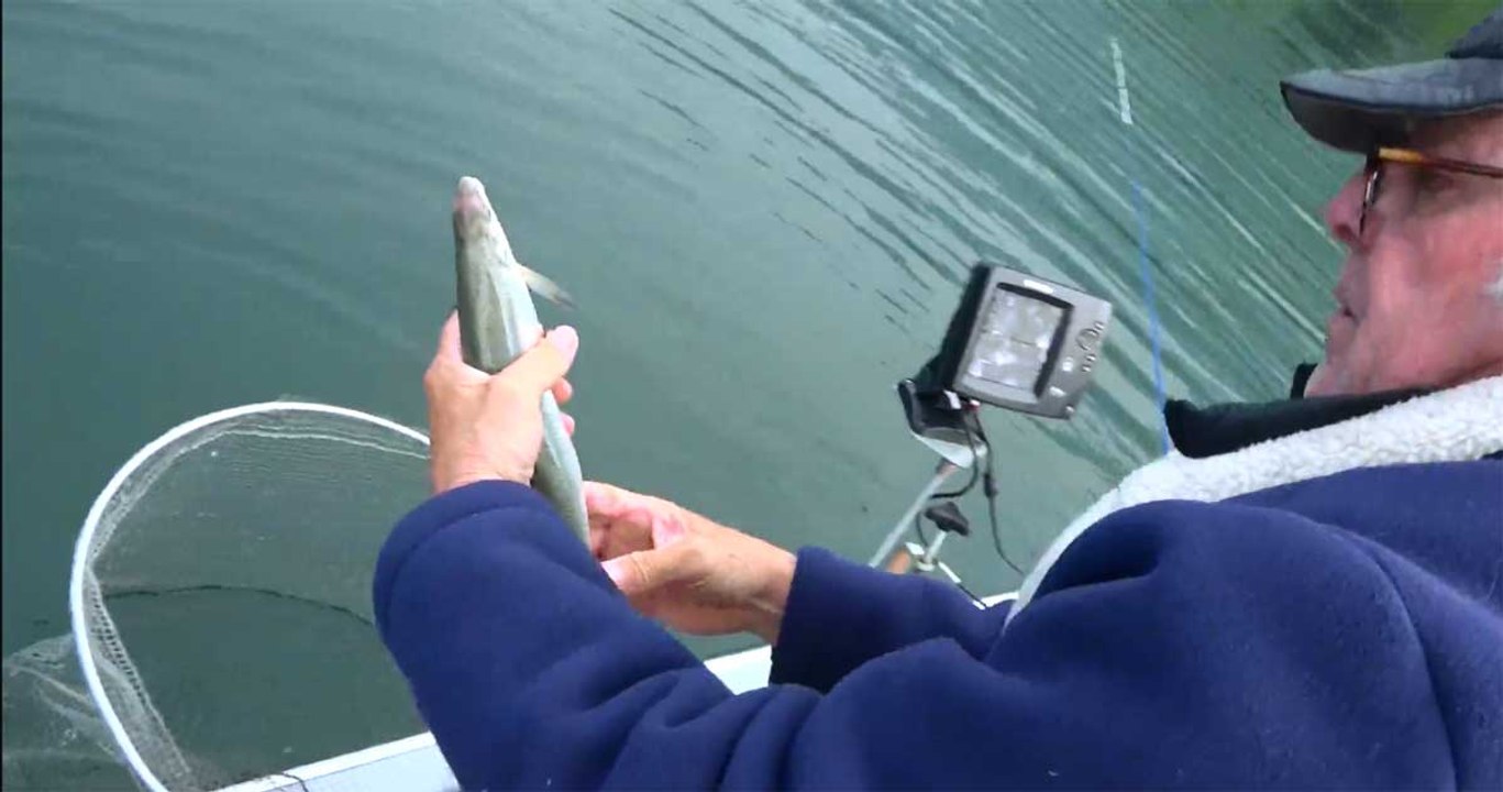 Destination montagnes : pêche sur le lac d'Annecy