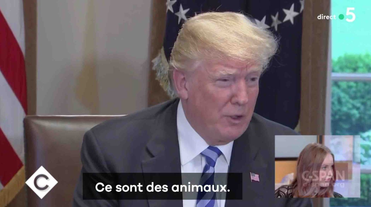 Donald Trump compare les migrants à des animaux - ZAPPING ACTU HEBDO DU 19/05/2018